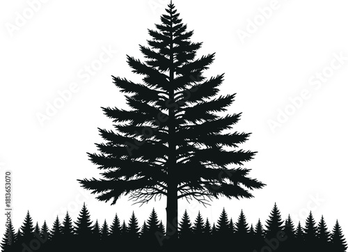 Detailed black silhouette of a tall pine tree standing in front of a forest line, isolated vector illustration for nature, wilderness, and landscape design.