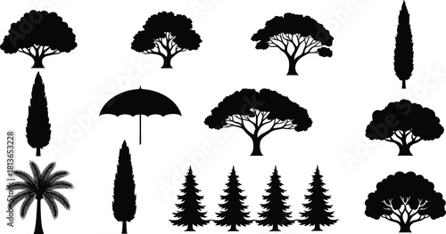 Set of various tree silhouettes, black vector illustration, including pine, palm, cypress, and umbrella, isolated on white background, for nature and landscape design