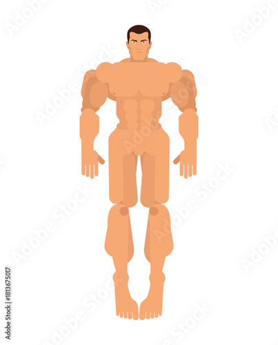 muscular male body showcasing strength, athletic build, and anatomical proportions for fitness or bodybuilding themes.
