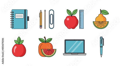 Collection of colorful vector icons notebooks fruits and office supplies
