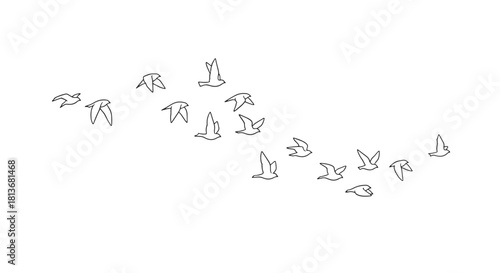 Minimalist Flock of Flying Birds Line Art Vector Illustration