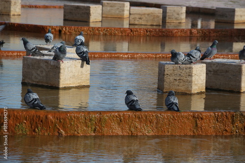 Fototapeta Naklejka Na Ścianę i Meble -  Terme and granite waterfall with geothermal water flowing in Kırşehir, Türkiye