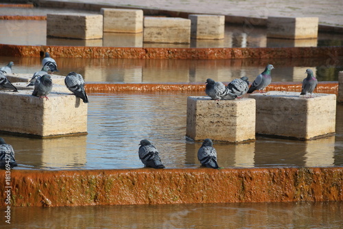 Fototapeta Naklejka Na Ścianę i Meble -  Terme and granite waterfall with geothermal water flowing in Kırşehir, Türkiye