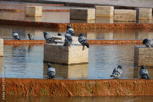 Fototapeta Naklejka Na Ścianę i Meble -  Terme and granite waterfall with geothermal water flowing in Kırşehir, Türkiye