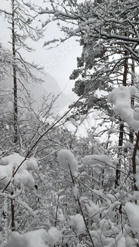 Winter wonderland in Tirol as snow blankets the Kaisertal valley with serene beauty and peaceful ambiance
