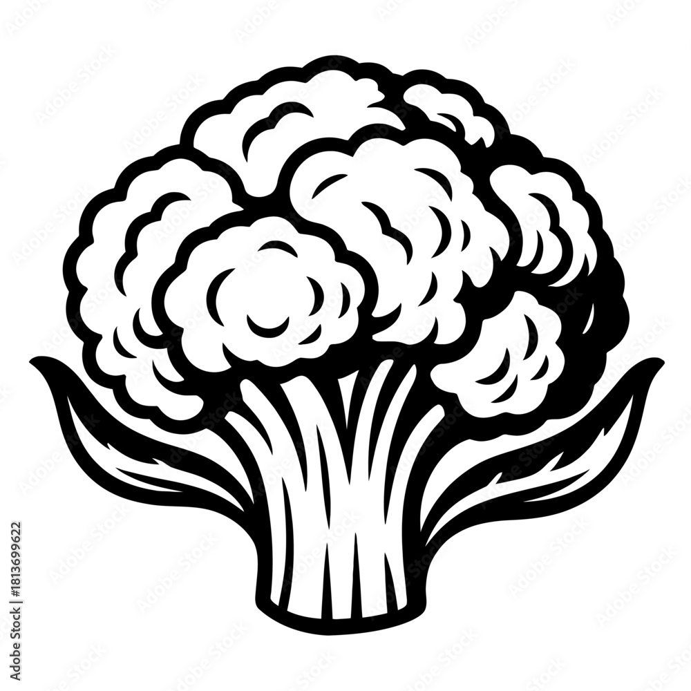 Fototapeta premium Stylized dark grey broccoli or cauliflower vector icon, a modern minimalist illustration with an elegant embossed effect. Perfect for healthy food branding, organic logos, and wellness app graphics