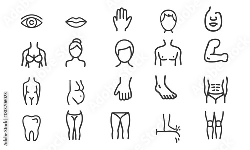 Simple Line Art Icon Set of Human Body Parts and Anatomy, vector, illustration.