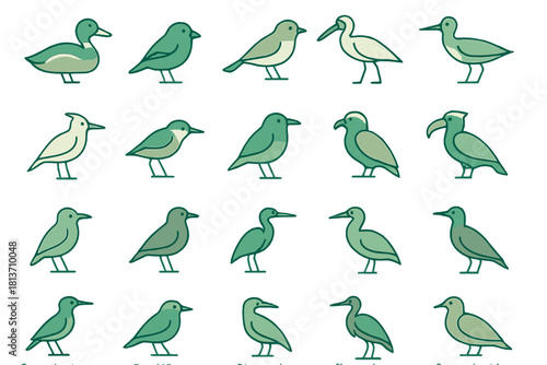 Stylized shorebird and seabird icon collection – minimalist green palette