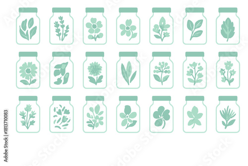 Pressed botanical specimens in jars – watercolor style