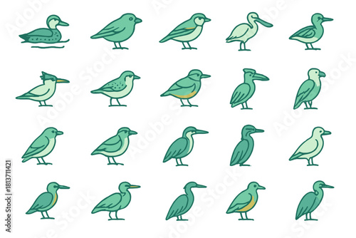 Hand-drawn bird illustrations with aquatic and wading species in green tones