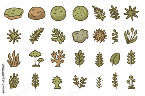 Seamless pattern of cartoon algae, seaweed, and aquatic plant doodles on earthy background