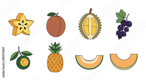 Assortment of colorful fruit illustrations on a white background for various uses