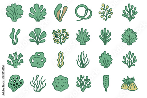Hand-drawn seaweed and coral icons on green gradient background