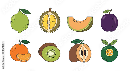 Assortment of colorful fruits lemon durian melon plum tangerine kiwi loquat orange