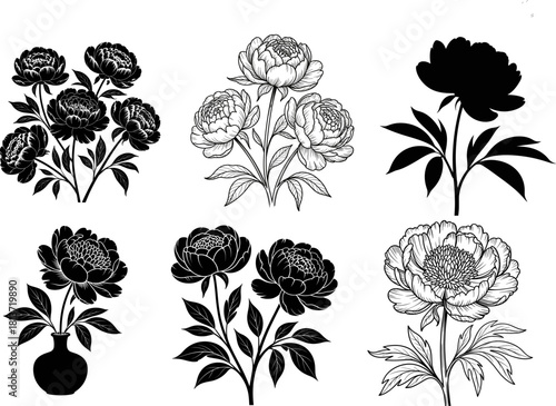Elegant Peony Flower Vector Set: Collection of Black and White Botanical Illustrations, Detailed Line Art, and Classic Floral Silhouettes for Wedding Invitations, Logos, and Vintage Design Projects.