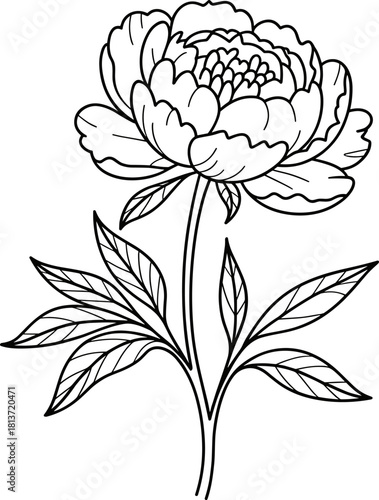 Elegant Peony Flower Line Art Vector Illustration - Hand Drawn Botanical Outline Design for Coloring Book Pages, Wedding Invitations, Tattoo Templates, and Nature-Inspired Graphics.