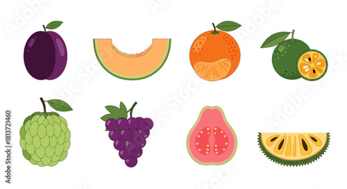 Assortment of fresh fruits colorful vector illustrations on white background