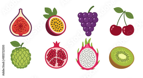 Assortment of fresh fruits colorful vector illustrations on white