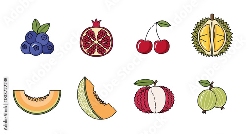 Assortment of fresh fruits displayed in a colorful vector illustration