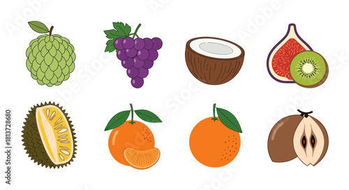 Assortment of vibrant fruits in a colorful vector illustration on white background