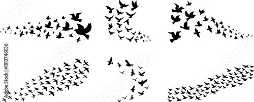 Collection of various Flying Bird Silhouette, showcasing various shapes, Flock of birds, vector illustration.