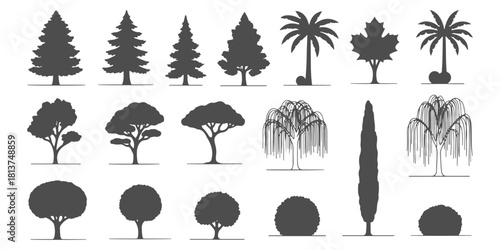 CAD Drawings. Side view of different tress silhouette. Vector illustration.