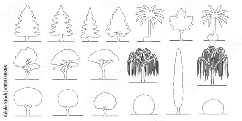CAD Drawings. Side view of different tress outline. Vector illustration.