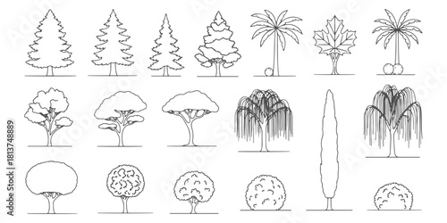 CAD Drawings. Side view of different tress. Vector illustration.
