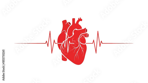 Red Human Anatomical Heart Icon with ECG Heartbeat Pulse Line. Cardiology Medical Health Symbol Vector Illustration.