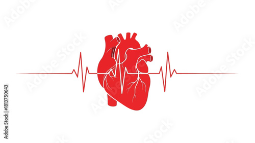 Red Human Heart Silhouette with EKG Electrocardiogram Line Vector Illustration