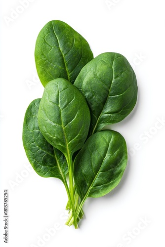 Fresh green spinach leaves on a clean white background creating a crisp healthy organic food scene ideal for nutrition, cooking and clean eating themes
