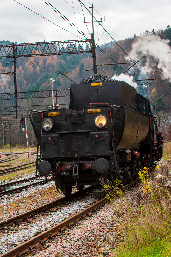 Obraz premium Parowóz, pociąg retro, Dolina Popradu, jesień.