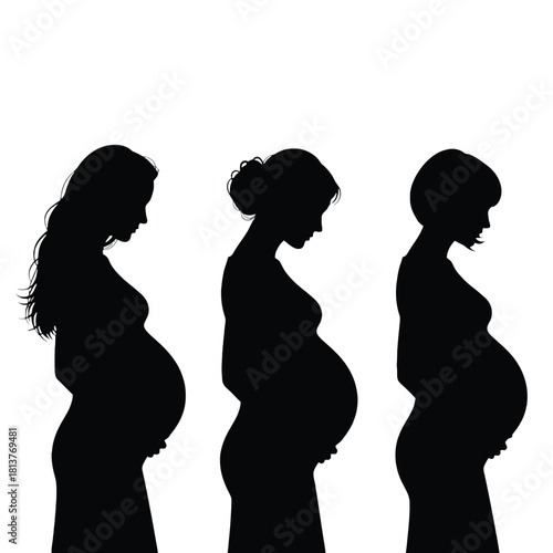 Silhouettes depicting the progression of pregnancy through changing body shapes