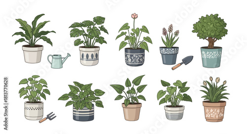 Collection of various houseplants in decorative pots and planters with gardening tools