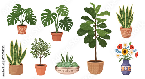 Collection of various potted houseplants and flowers, showcasing a variety of textures and colors