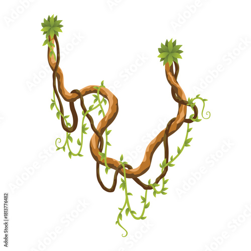 Liana branch. Twisted wild jungle vine plants. Woody natural tropical rainforest, exotic botany element. Vector design element