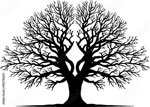 tree silhouette, big tree silhouette, branching tree, oak tree silhouette, large tree vector, leafless tree, winter tree, nature silhouette, forest tree, woodland tree, detailed tree, intricate branch