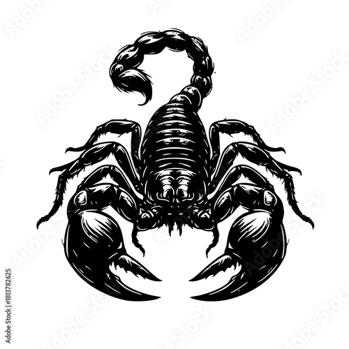 scorpion tattoo vector