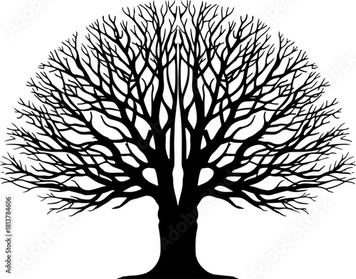 Twin Tree Silhouette
