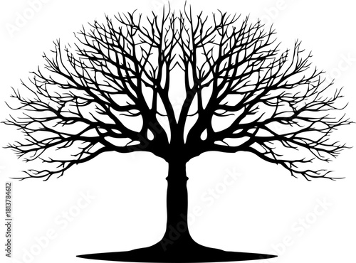 Twin Tree Silhouette
