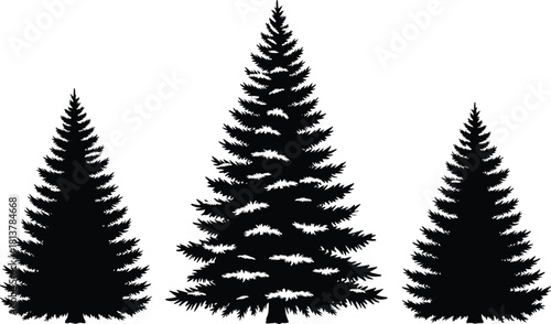Vector illustration set of three detailed black pine tree silhouettes isolated on white background for forest nature design elements and Christmas holiday decoration graphics.