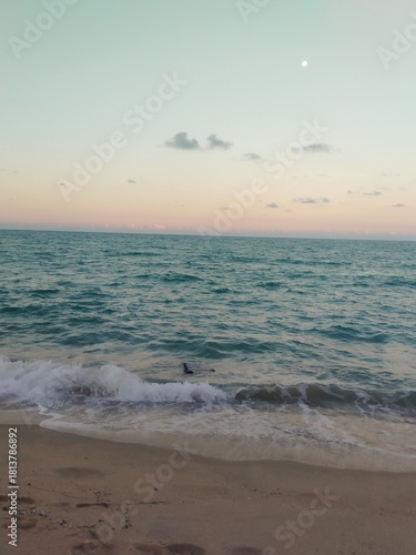 Serene Beach at Dusk