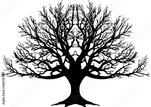 Tree silhouette, tree svg, tree clipart, tree bundle, tree vector, nature silhouette, forest silhouette, tree outline, tree cut file, nature svg, woodland svg, tree png, tree eps, tree dxf, tree ai, t