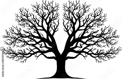 Tree silhouette, tree svg, tree clipart, tree bundle, tree vector, nature silhouette, forest silhouette, tree outline, tree cut file, nature svg, woodland svg, tree png, tree eps, tree dxf, tree ai, t