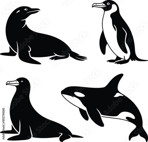 Marine animals vector illustration set of sea creatures wildlife ocean