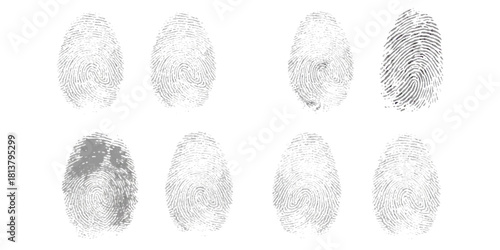 Multiple gray fingerprints on white background for security identification data