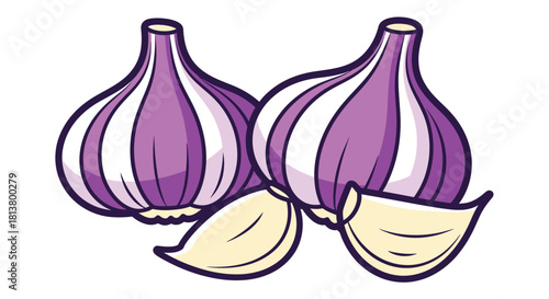 Cartoon illustration of purple garlic bulbs and a clove fresh produce