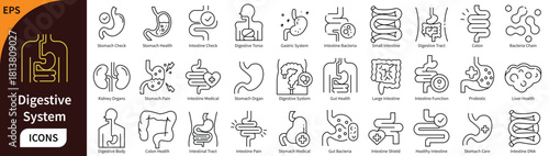 Digestive System Line Icons Set. Medical Anatomy, Gastrointestinal Organs, Gut Health, and Stomach Disease Vector Symbols.