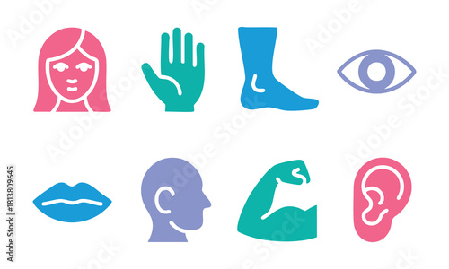 Human Anatomy and Sensory Organ Icons, Multicolor Body Part Pictograms, Health and Biology Symbol Set, Five Senses and Physicality Graphics, illustration, vector