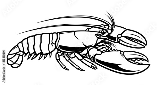 Lobster line art illustration in black and white, side view, marine crustacean, sea animal graphic element icon